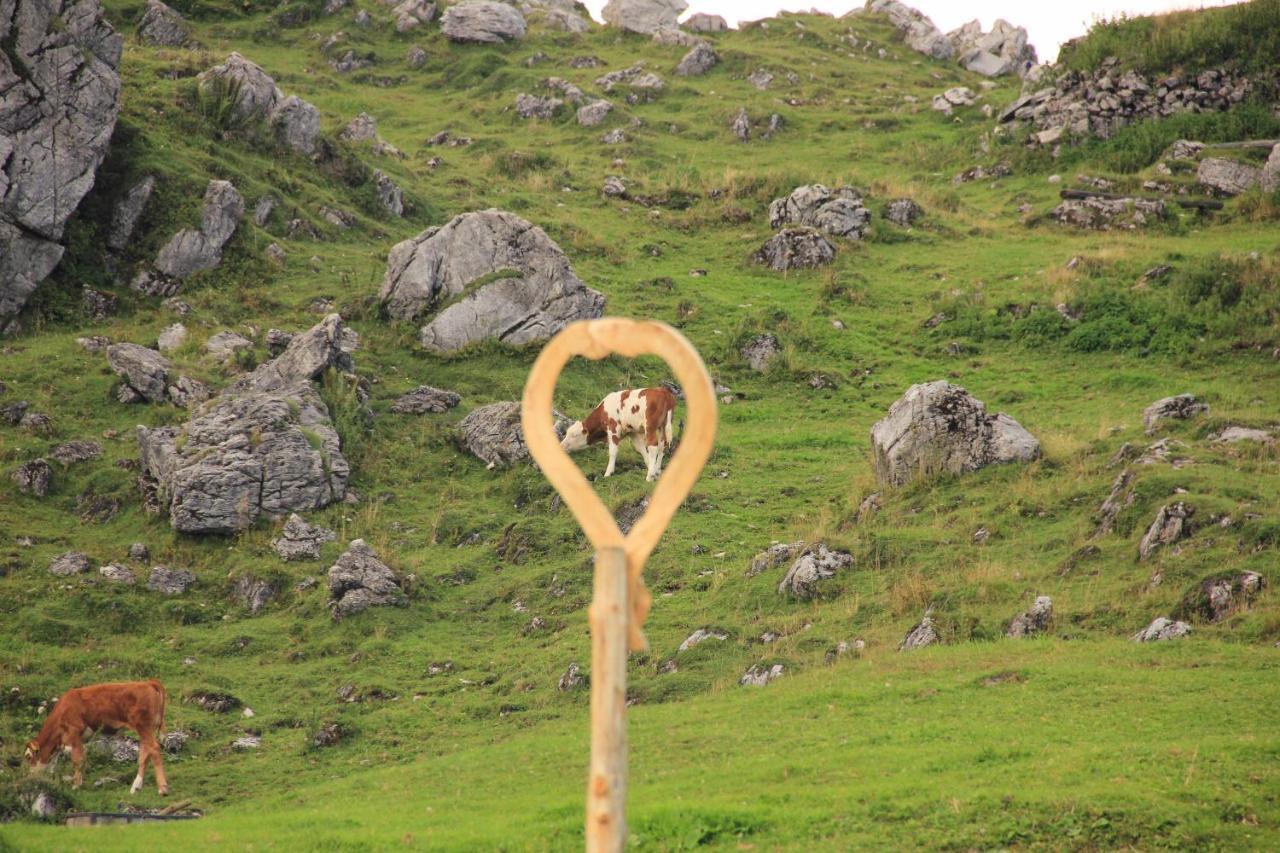 Velika Planina Chalet Slovenka Stahovica Esterno foto