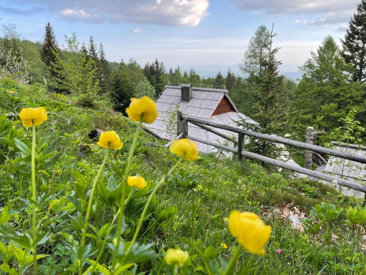 Velika Planina Chalet Slovenka Stahovica Esterno foto