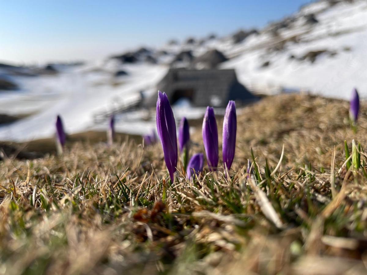 Velika Planina Chalet Slovenka Stahovica Esterno foto